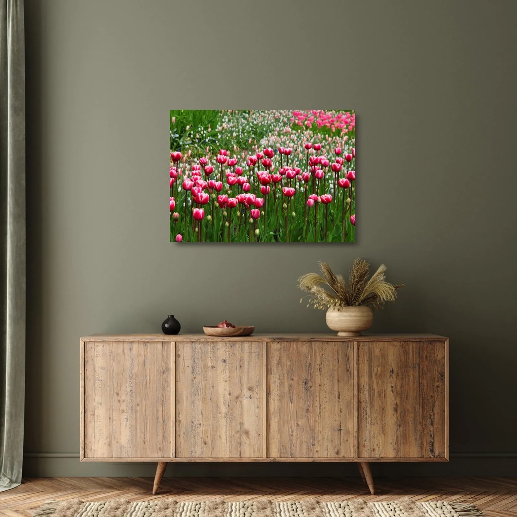 Obraz na szkle tulipanów (70x50 cm)