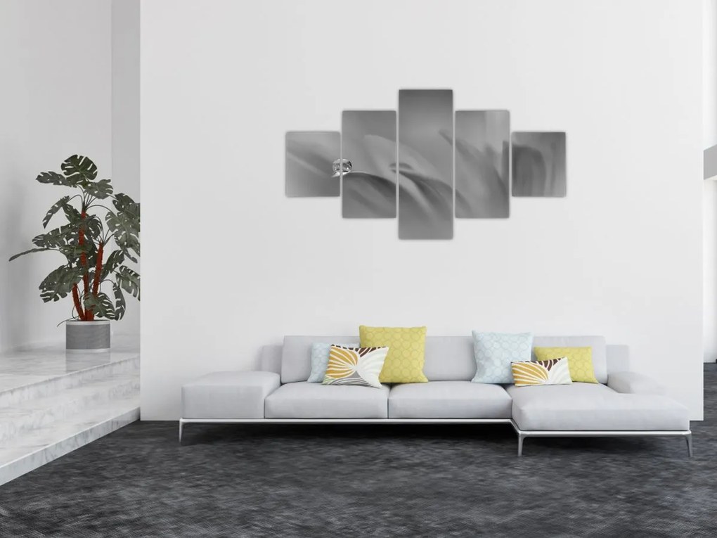 Obraz - Kropla na kwiecie, czarno - biały (125x70 cm)