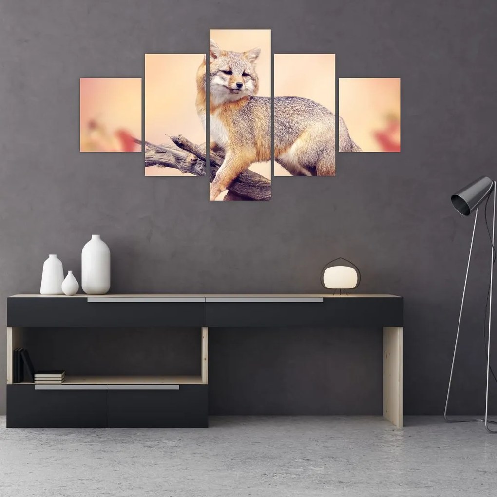 Obraz - Lis (125x70 cm)
