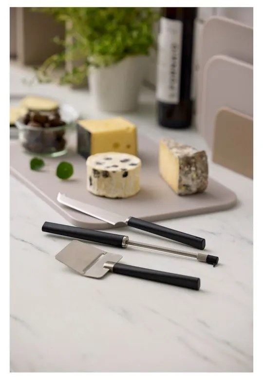 Zestaw noży do sera ze stali nierdzewnej 3 szt. Emma – Rosti