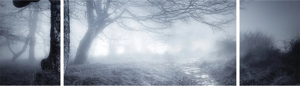 Obraz- Droga we mgle (170x50 cm)