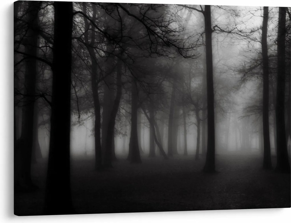 Obraz - Las we mgle (70x50 cm)