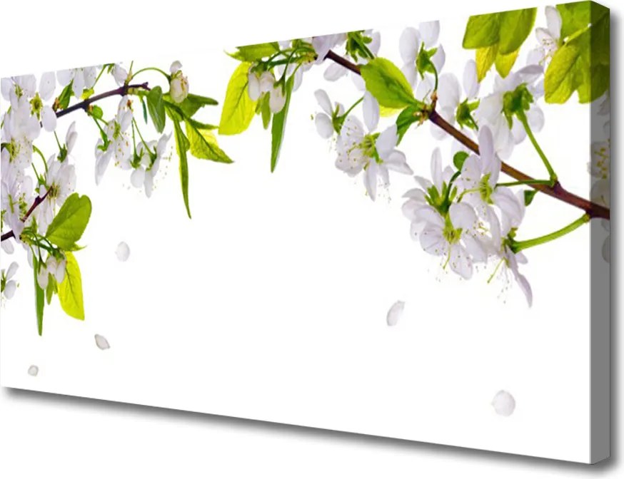 Obraz canvas na ścianę Makro Płatków Kwiatów