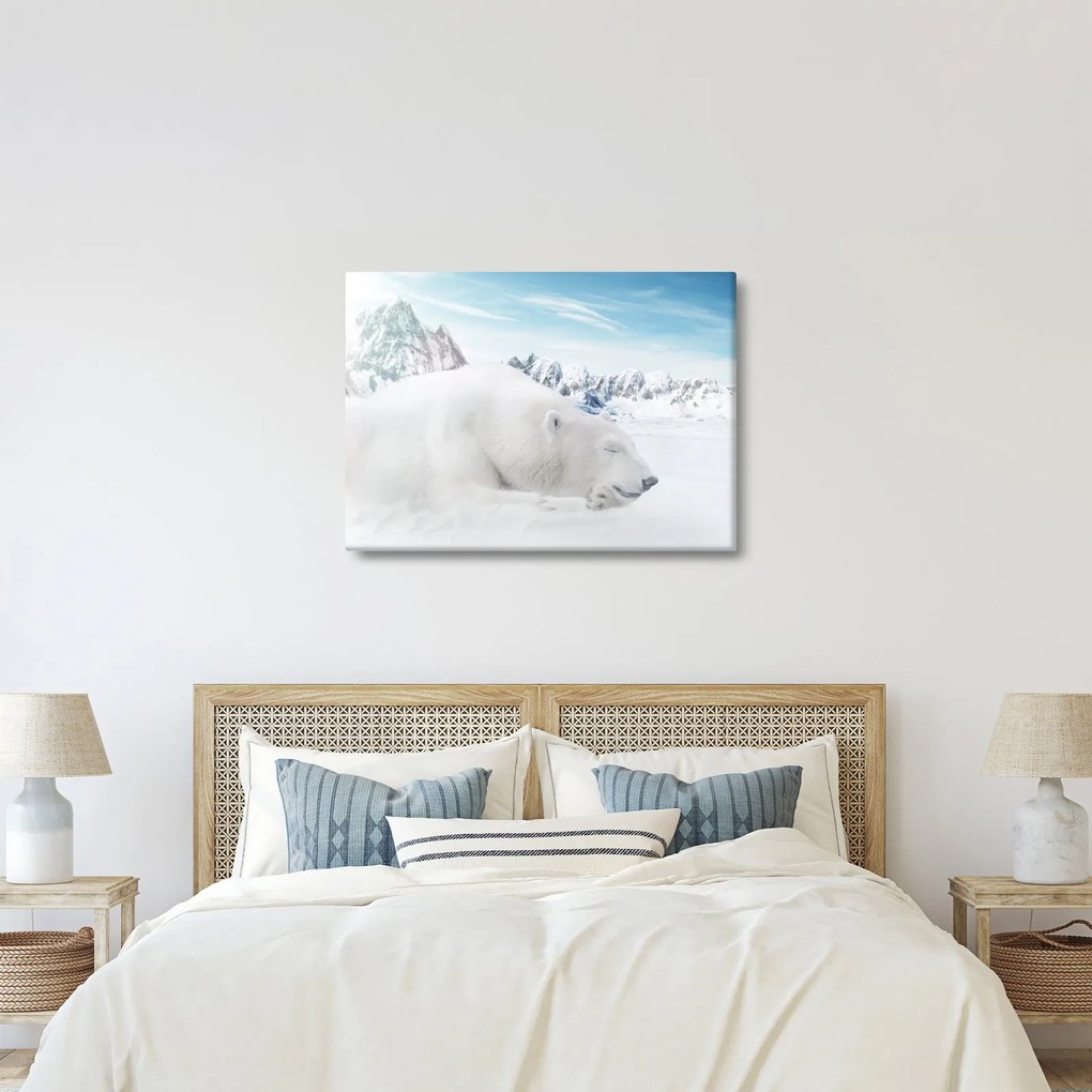 Obraz - Niedźwiedź polarny (70x50 cm)