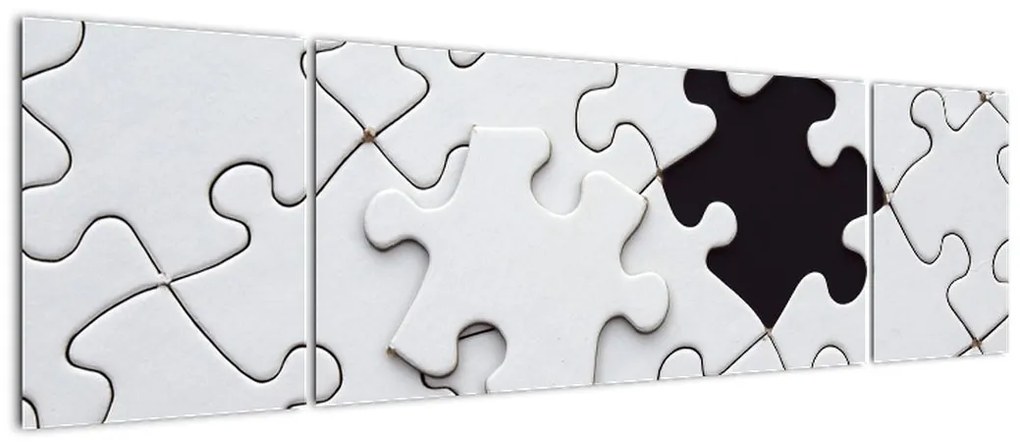 Obraz puzzli (170x50 cm)