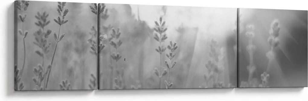 Obraz - Lawenda (170x50 cm)