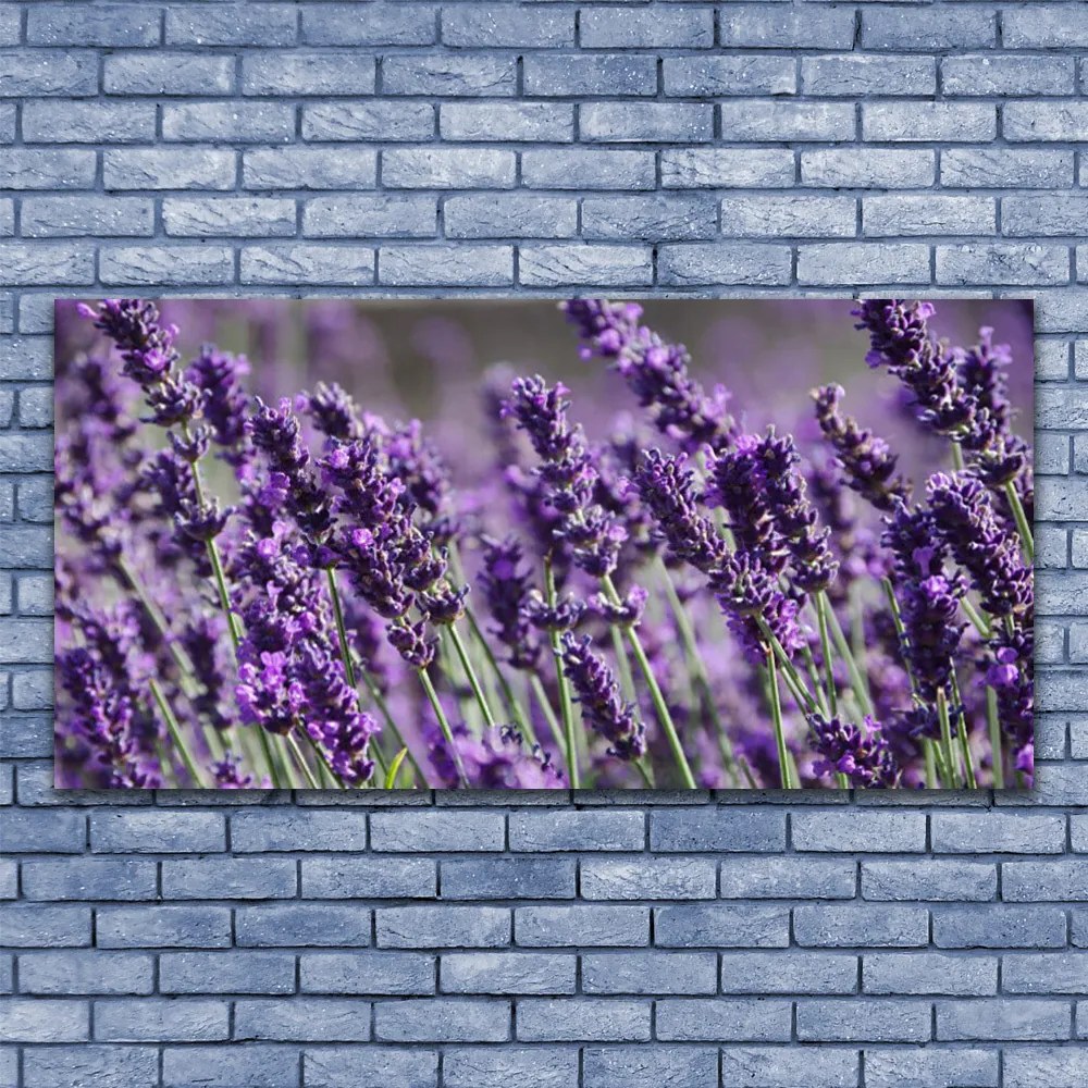 Obraz Akrylowy Kwiaty Roślina Natura