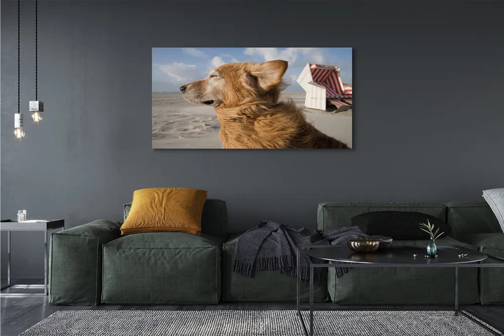 Obraz canvas na ścianę Brązowy Pies na Plaży