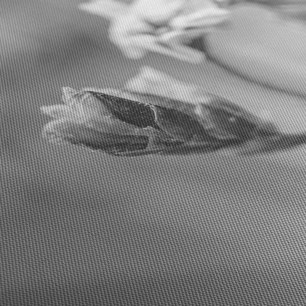 Obraz - Kwitnący kwiat (170x50 cm)