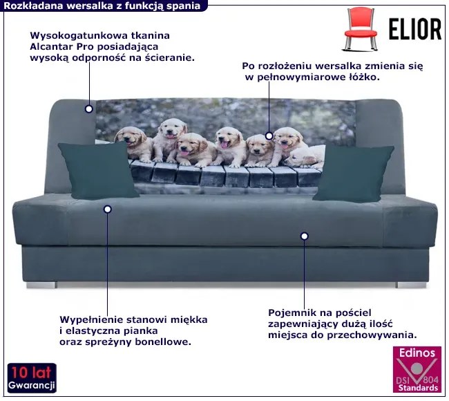 Szara rozkładana wersalka z motywem piesków - Piovia 30X
