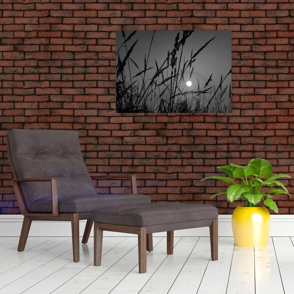Obraz na szkle - Łąka z zachodem słońca (70x50 cm)