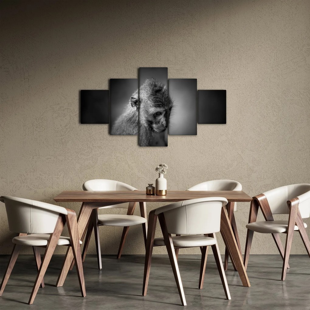 Obraz - Małpa (125x70 cm)