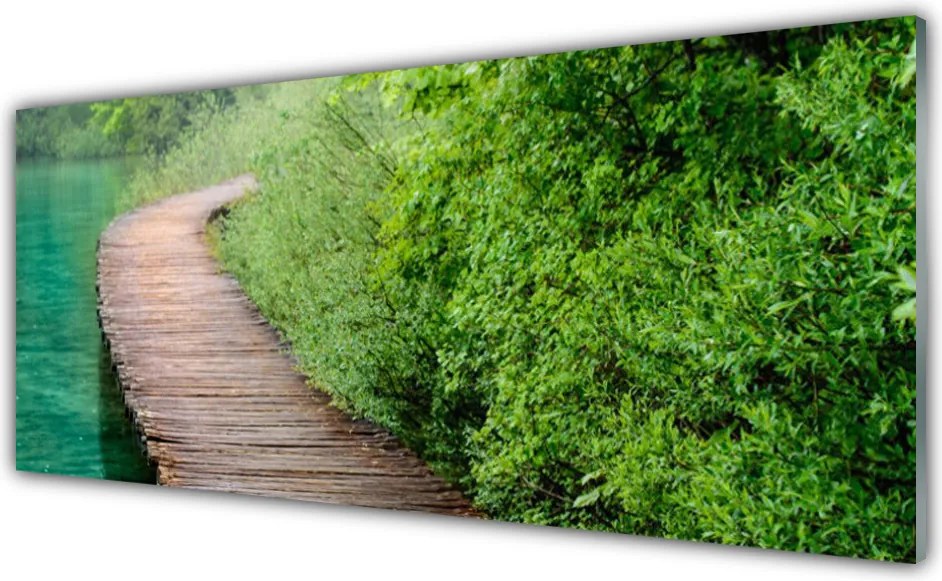 Panel Szklany Drewniany Mostek W Lesie