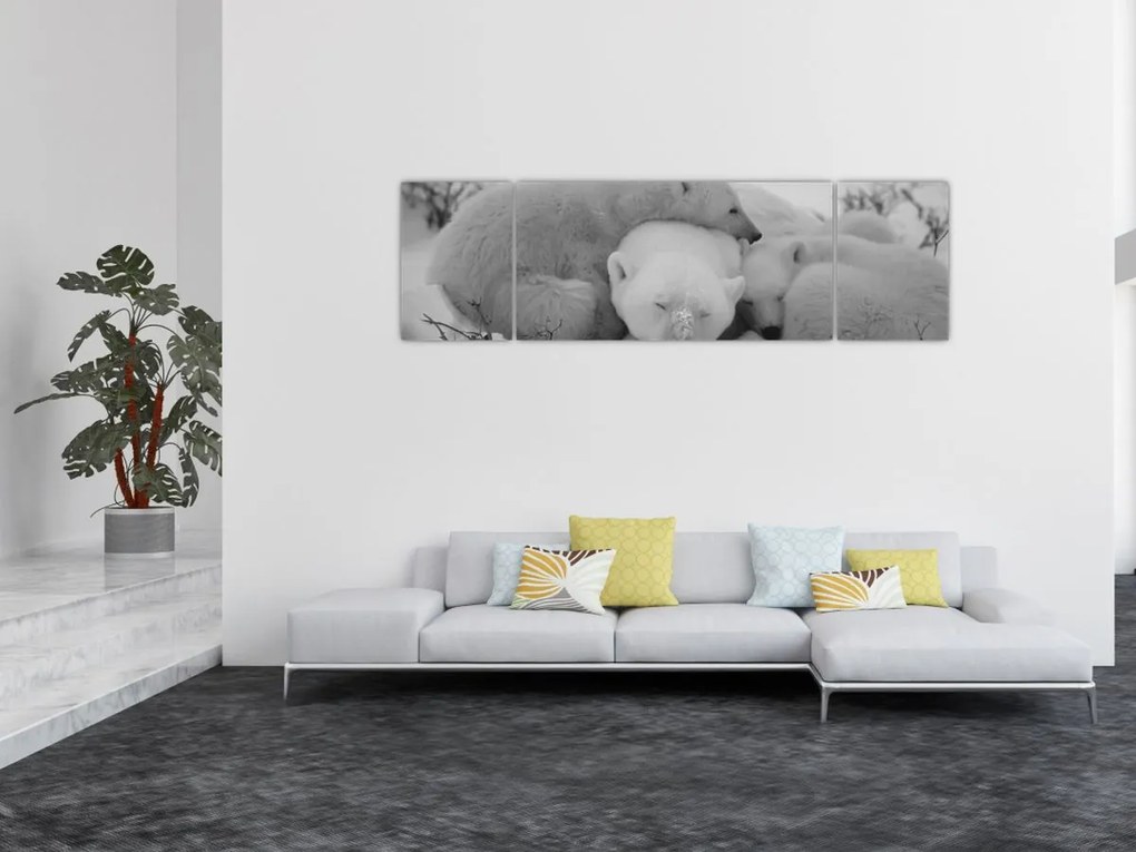 Obraz - Niedźwiadki polarne, czarno - biały (170x50 cm)