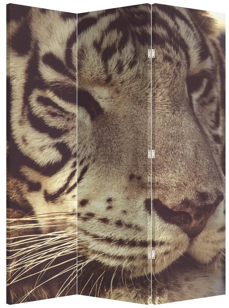 Parawan - Tygrys (126x170 cm)