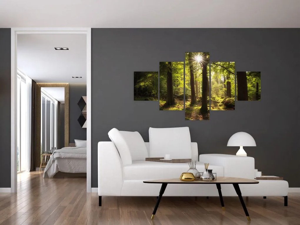 Obraz sennego lasu (125x70 cm)