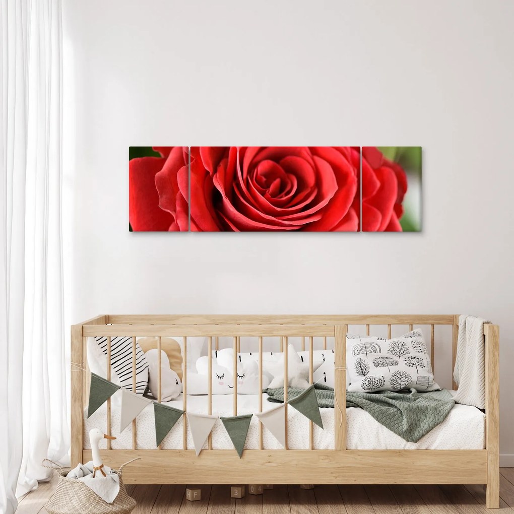 Obraz kwiatu róży (170x50 cm)
