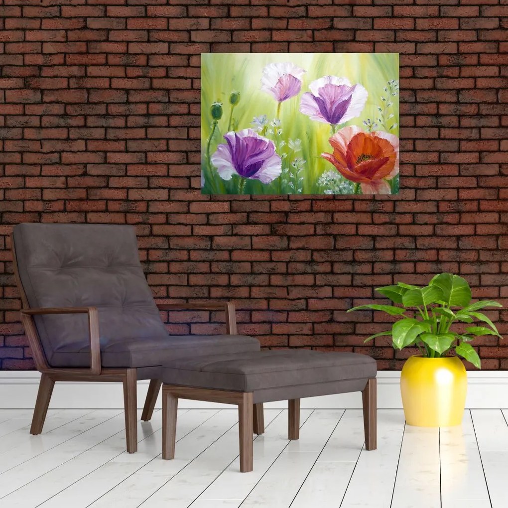 Obraz na szkle - Maki (70x50 cm)