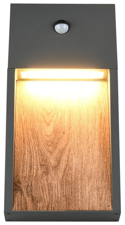 Lampa zewnętrzna (wysokość 33 cm) Salmon – Trio