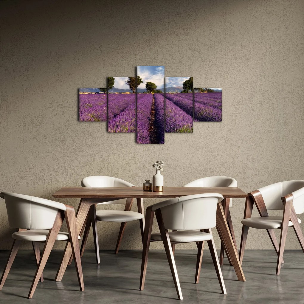 Obraz - Pole lawendy i góry (125x70 cm)
