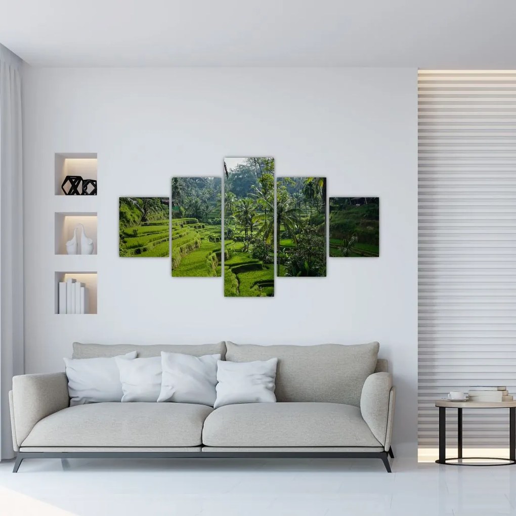 Obraz tarasów ryżowych Tegalalang, Bali (125x70 cm)