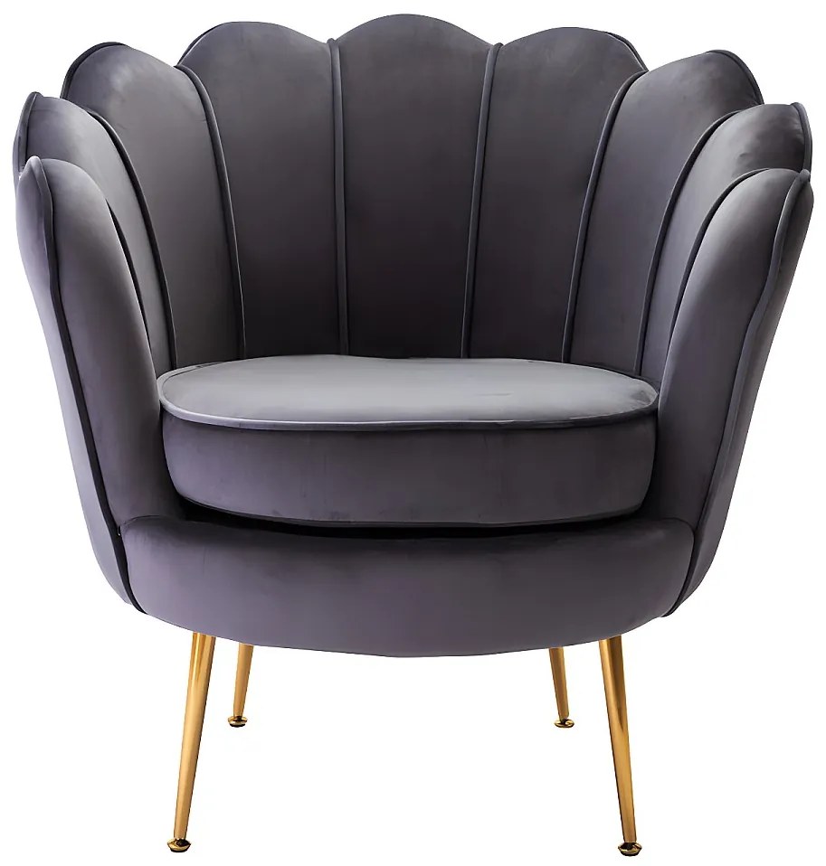Fotel DANDELION z weluru – kolor antracytowy marki Pascal Morabito
