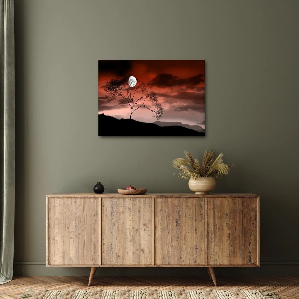 Obraz - Księżyc oświetlający noc (70x50 cm)