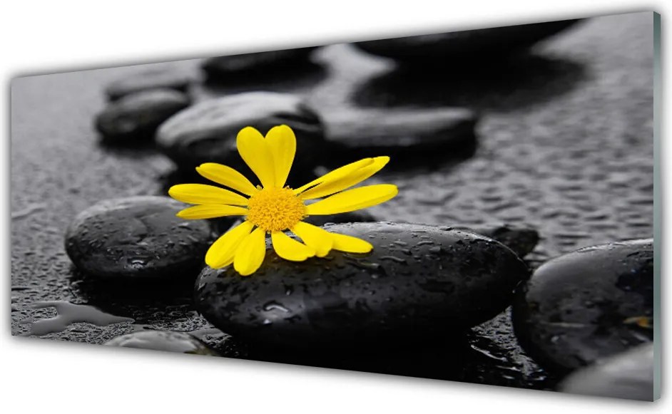 Panel Szklany Słoneczny Akcent w Gabinecie Spa