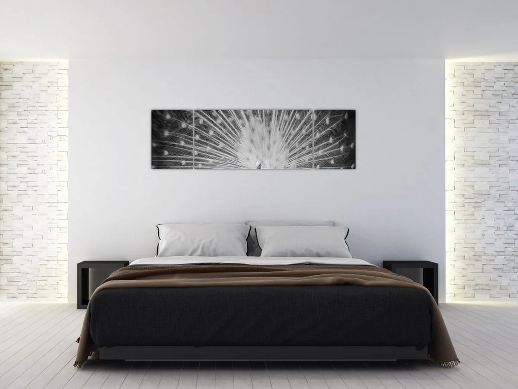 Obraz - Biały paw (170x50 cm)