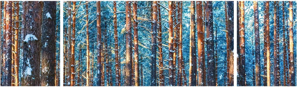 Obraz - Zimowy las (170x50 cm)