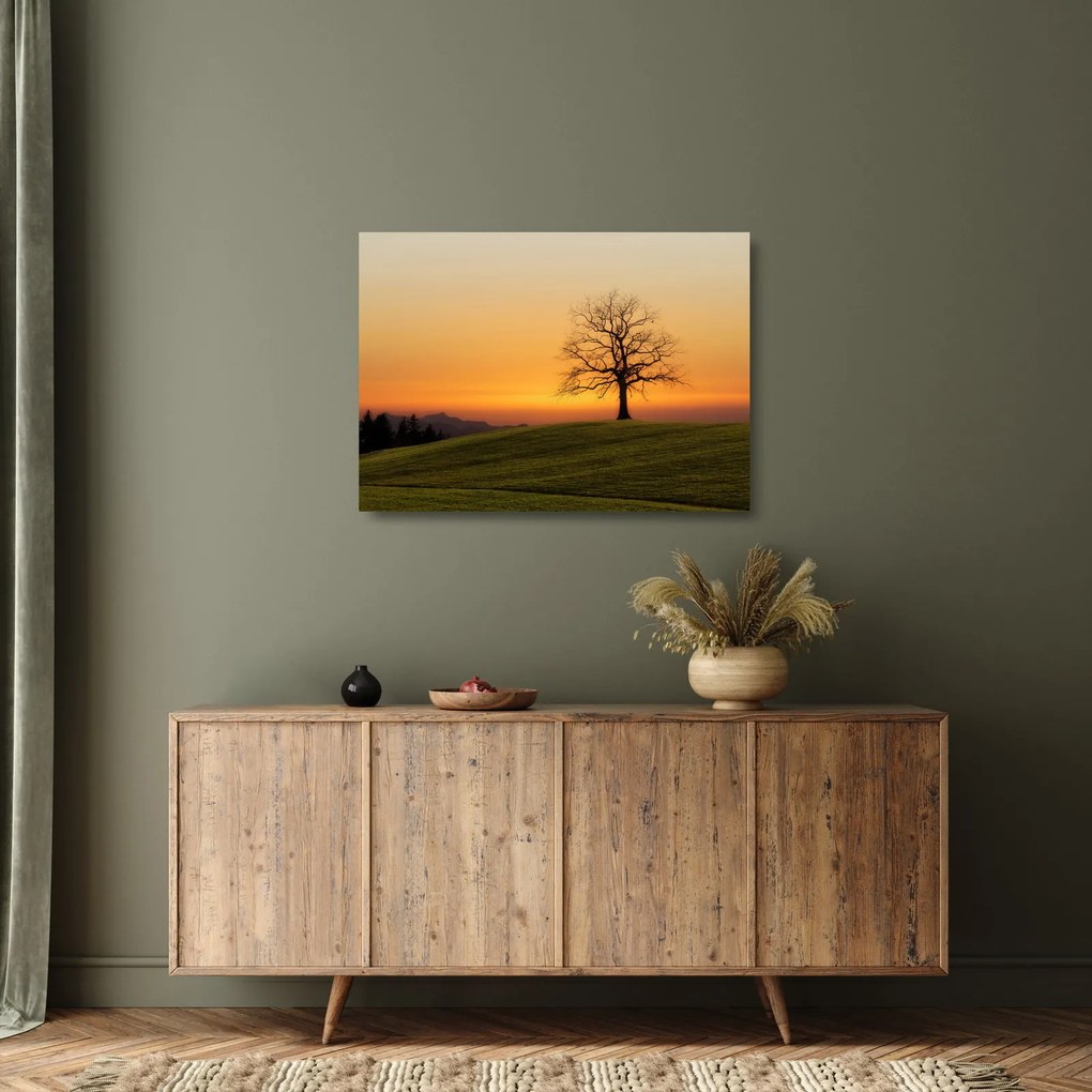 Obraz na szkle - zachód słońca na łące (70x50 cm)