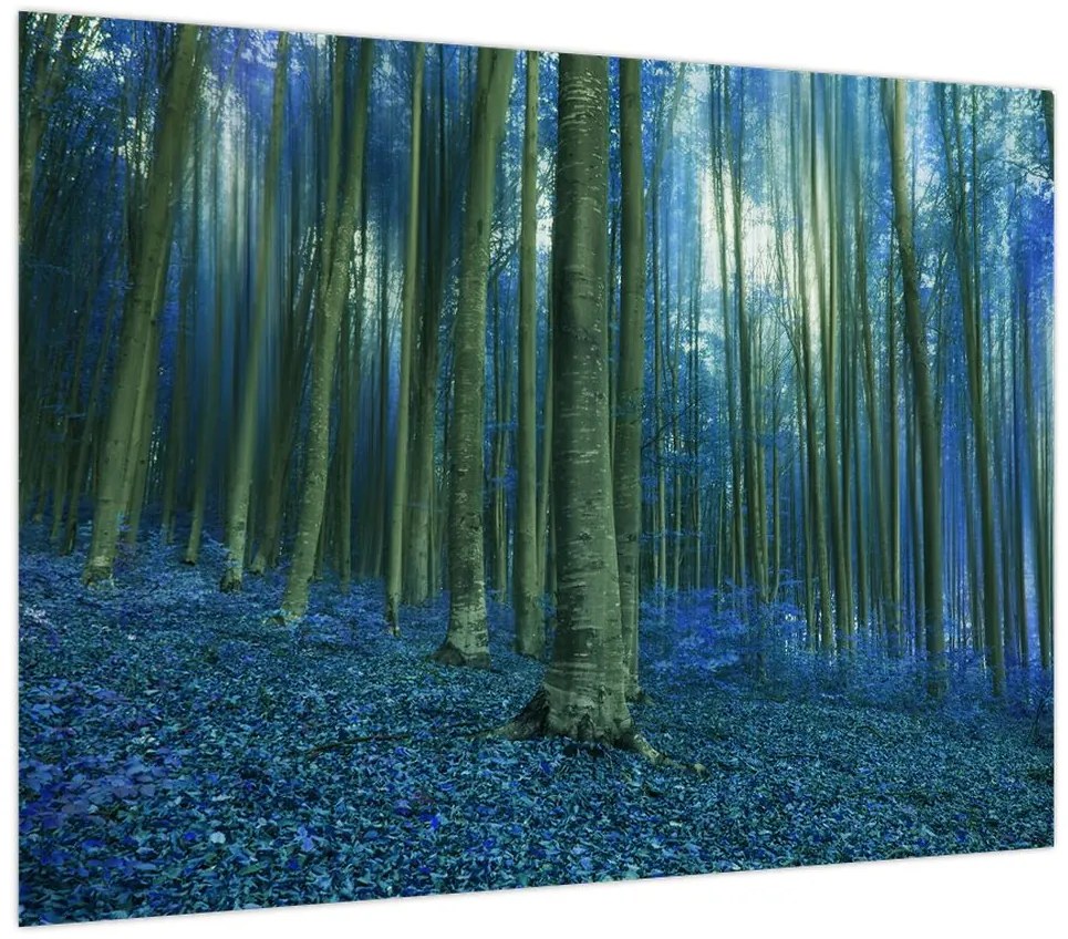 Obraz - Niebieski las (70x50 cm)