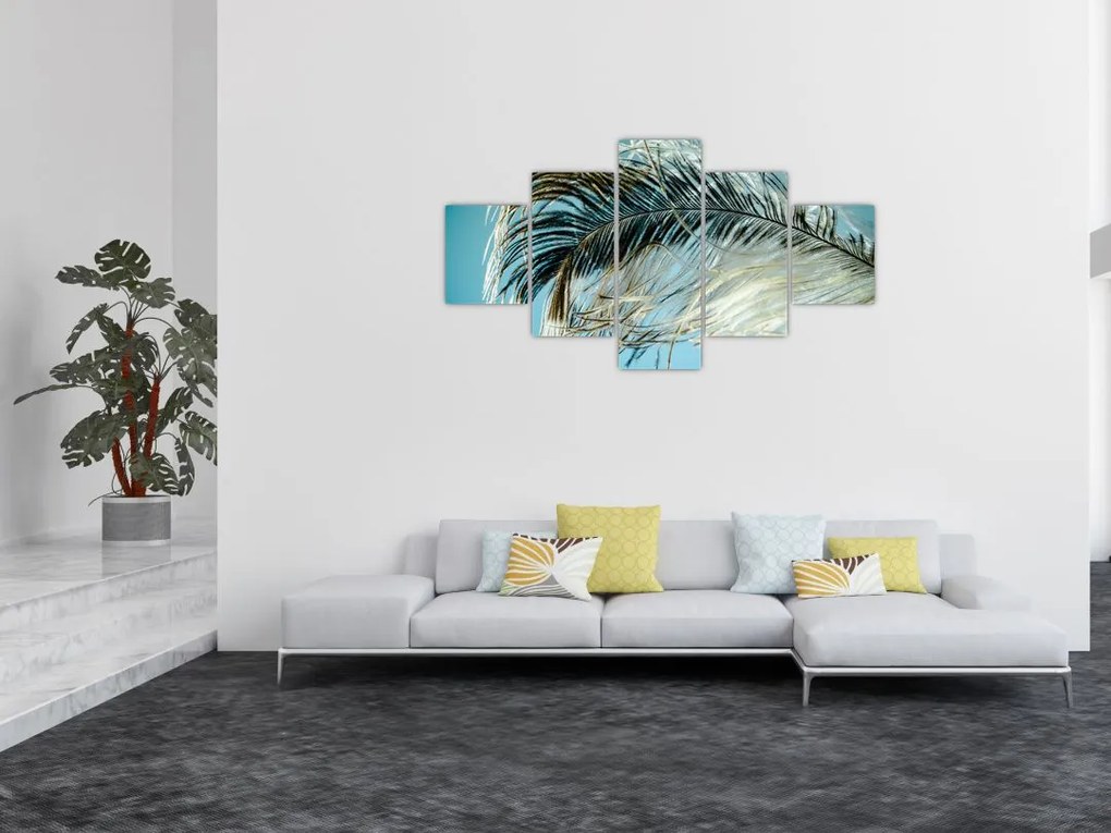 Obraz pióra (125x70 cm)