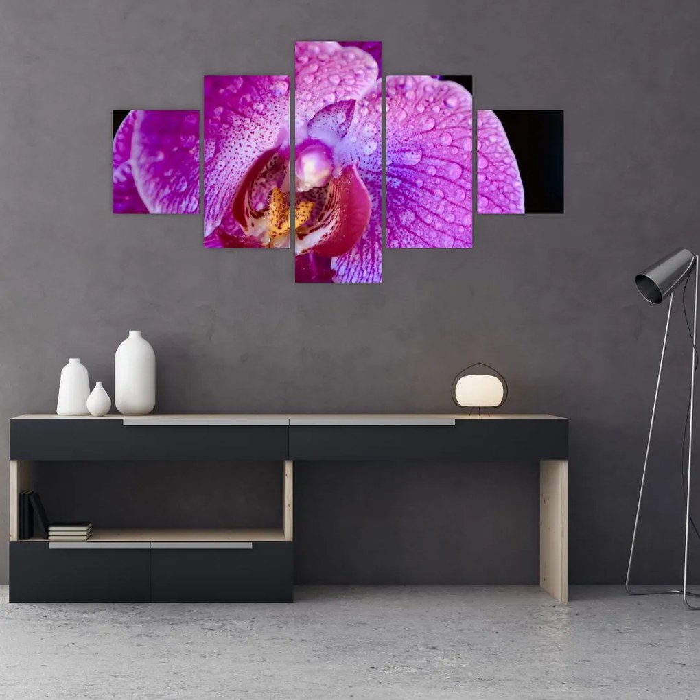 Zbliżenie kwiatu orchidei (125x70 cm)