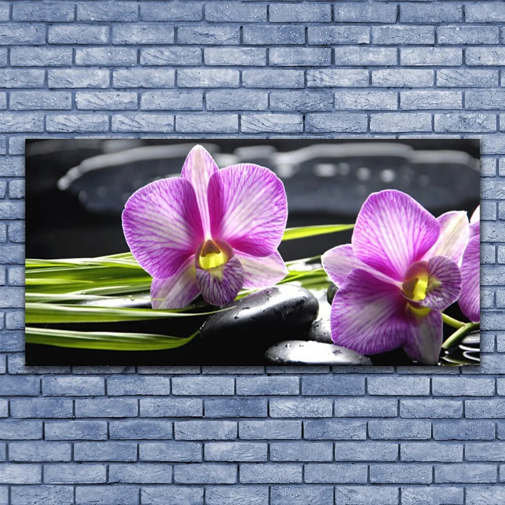 Obraz canvas Delikatność Płatków Storczyka