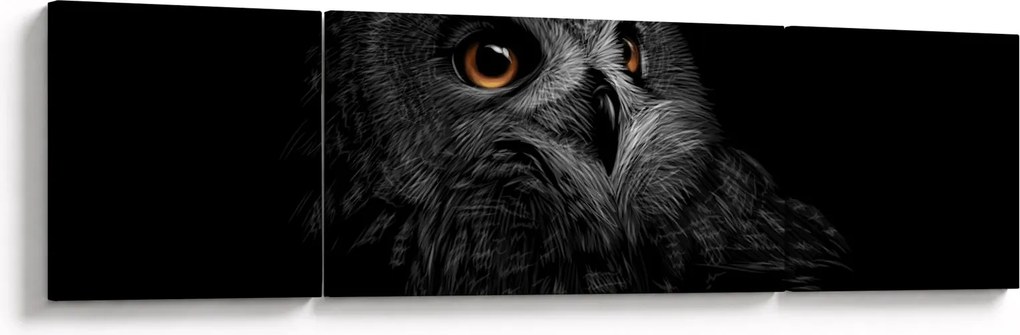 Obraz - Sowa, ilustracja (170x50 cm)