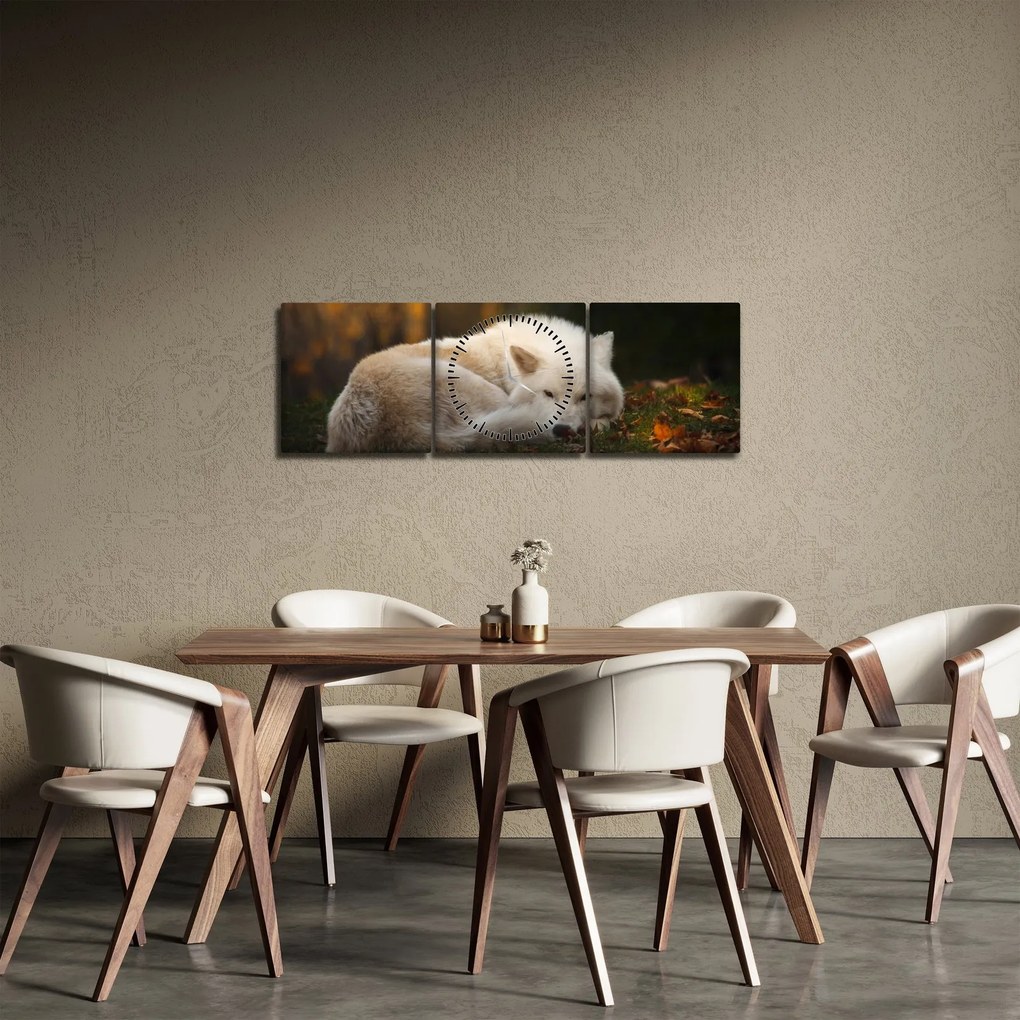 Obraz - Odpoczywający wilk (z zegarem) (90x30 cm)