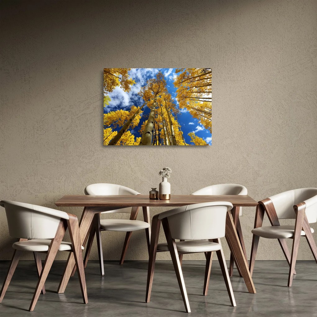 Obraz na szkle - Aspen (70x50 cm)