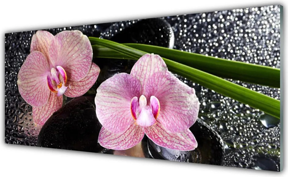 Szkło Dekoracyjne do Kuchni Równowaga: Biały Storczyk Zen