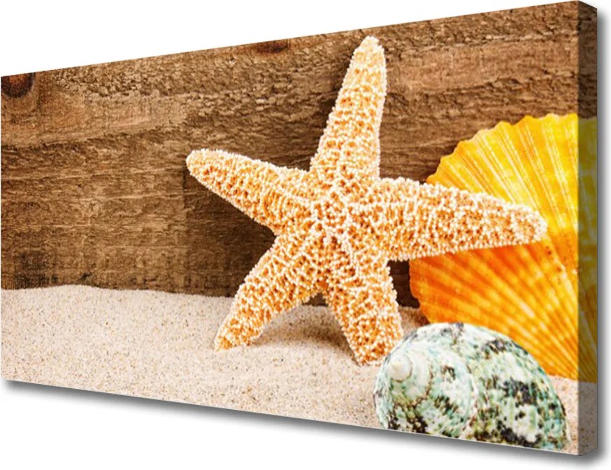 Obraz canvas Skarby Morza na Piasku