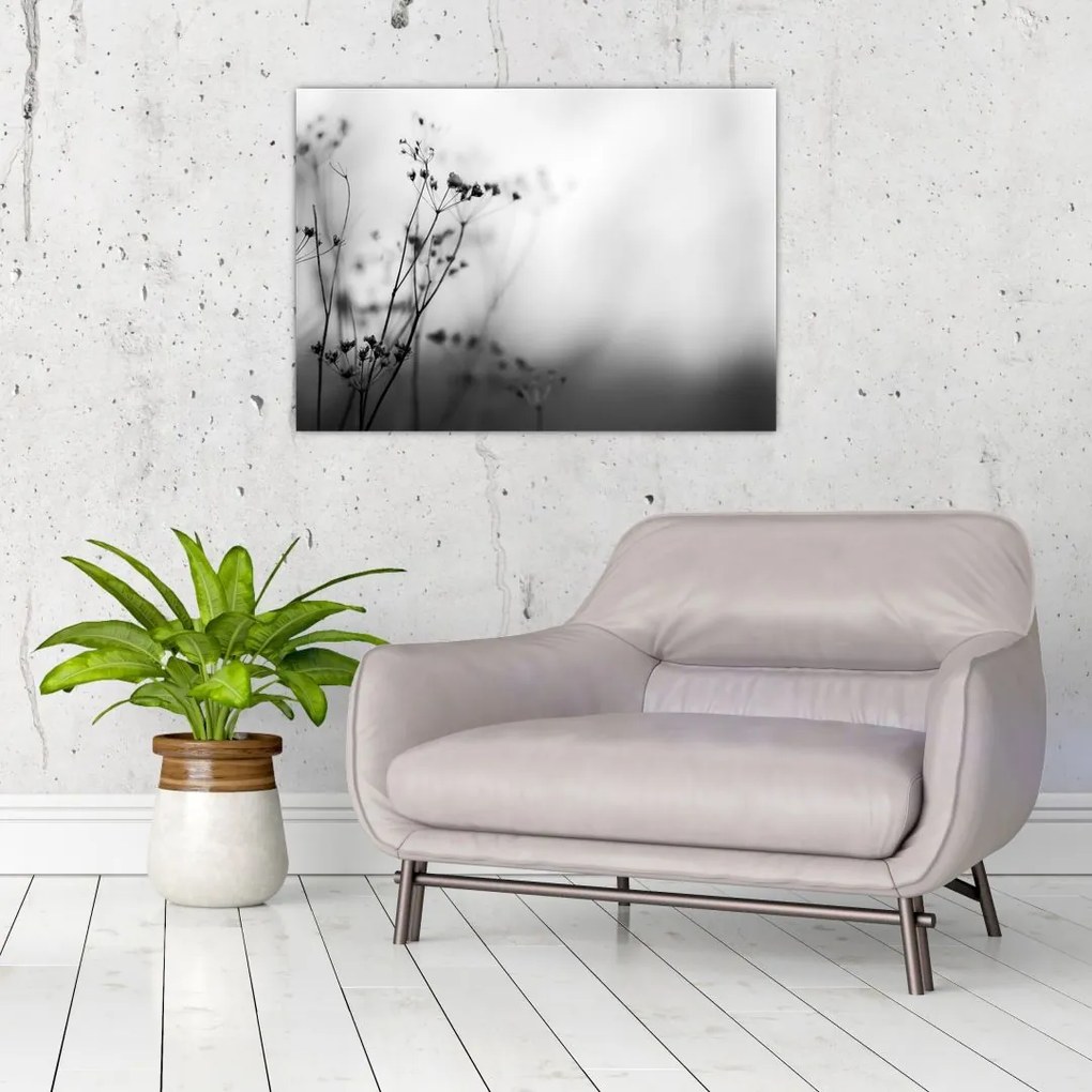 Obraz - Detal kwiatów polnych (70x50 cm)