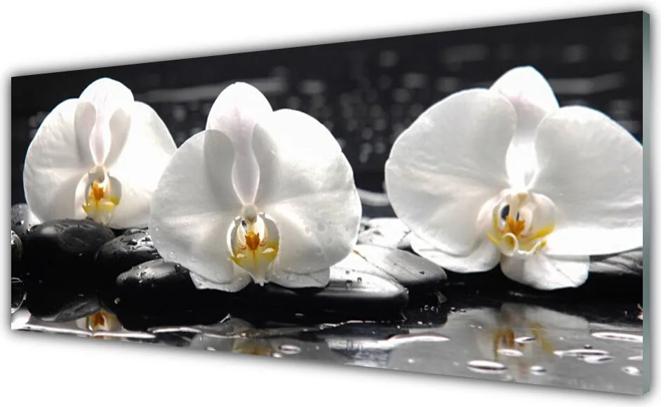 Szkło do Kuchni na Ścianę Subtelny Biały Storczyk