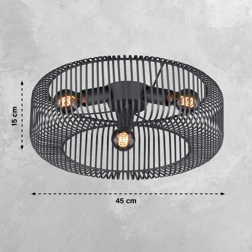 Czarna lampa sufitowa Cage – Fischer &amp; Honsel