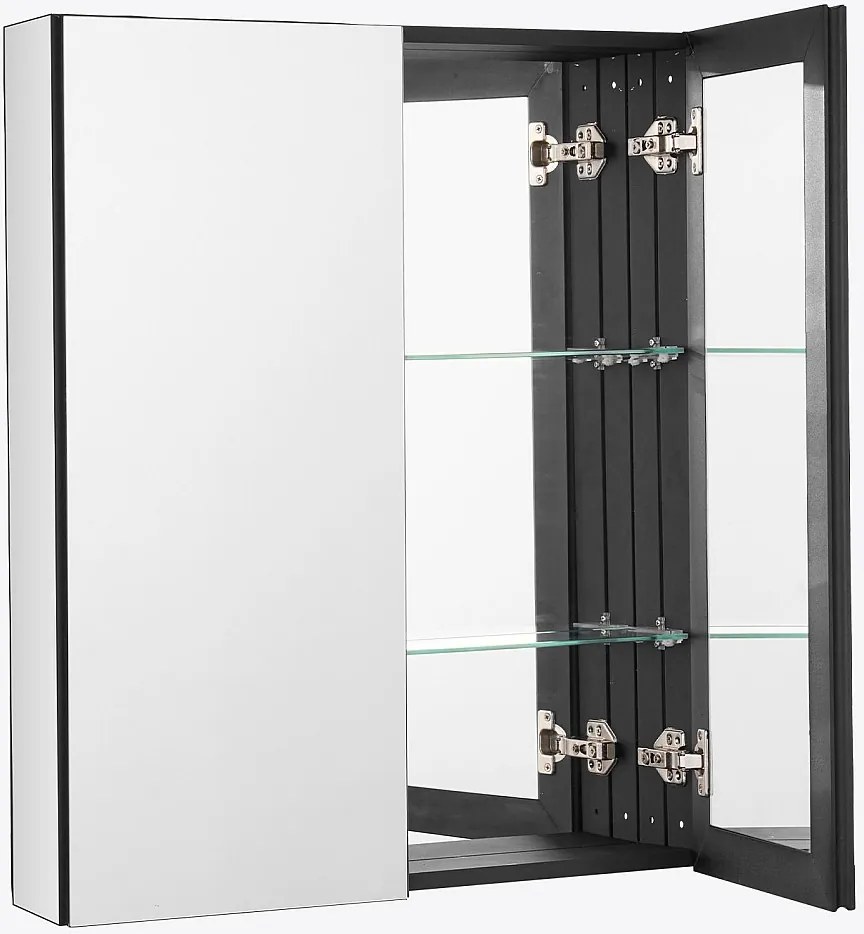 Apteczka, SucceBuy Apteczka, 66 x 76 cm, Łazienkowa Apteczka z Lustrem i 2-Warstwowymi Regulowanymi Półkami