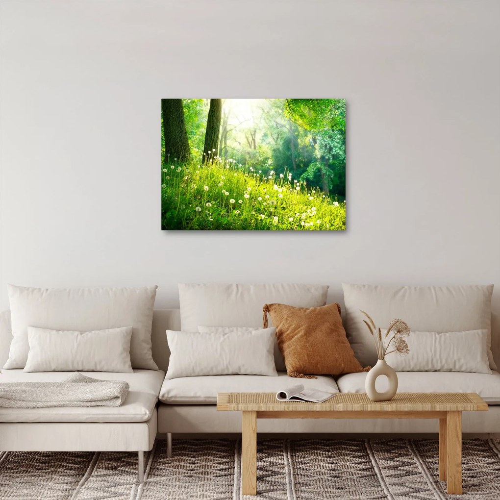 Obraz - Magiczna łąka pełna mniszków lekarskich (70x50 cm)