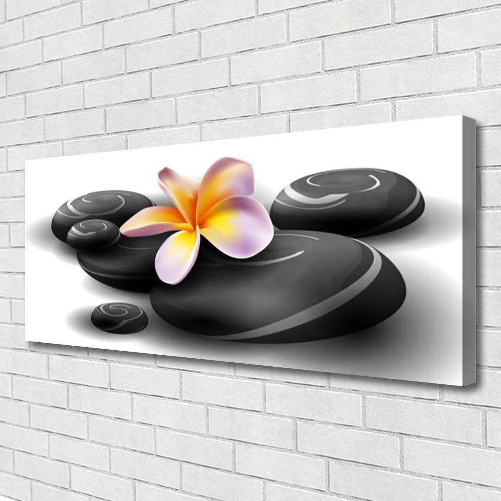 Obraz na płótnie Kwiaty i Kamienie Zen