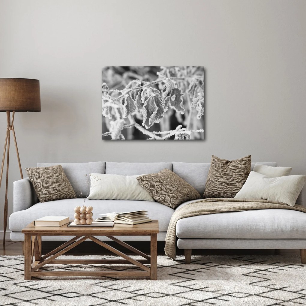 Obraz - Zmarznięte liście, czarno - biały (70x50 cm)