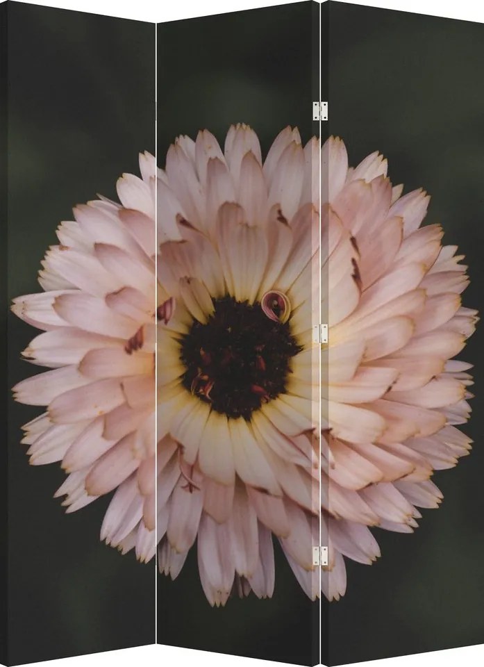 Parawan - Pomarańczowy kwiat (126x170 cm)