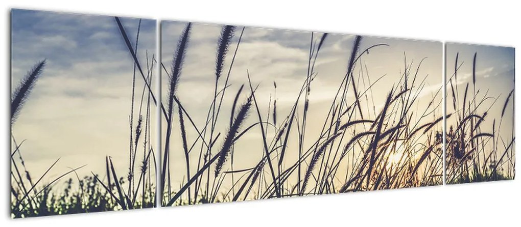 Obraz kwiatów łąkowych (170x50 cm)