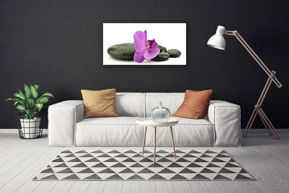 Obraz canvas Królewska Orchidea w Detalu